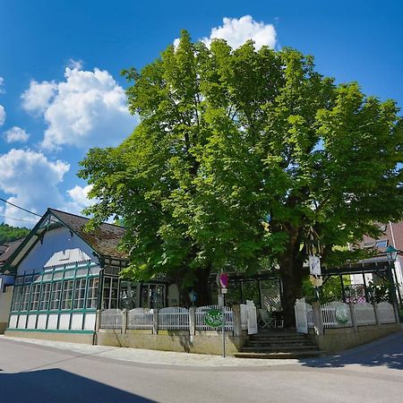 Apartment Welser Ybbsitz Екстер'єр фото